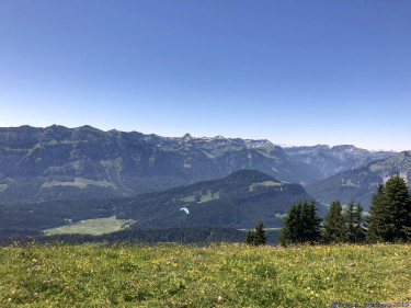 KAC Gaissau Kräuterwanderung 2019 06 29 12 01 32  4684
